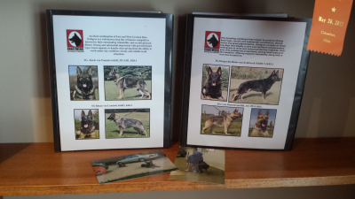 Zuchttechnik K9 Image